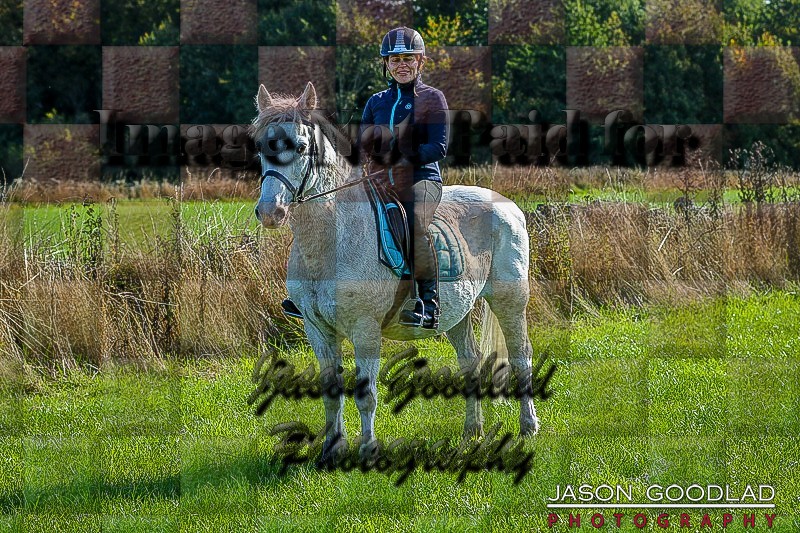 Farnley Ride Sep 2024 Photos From Events Jason Goodlad Photography Gallery